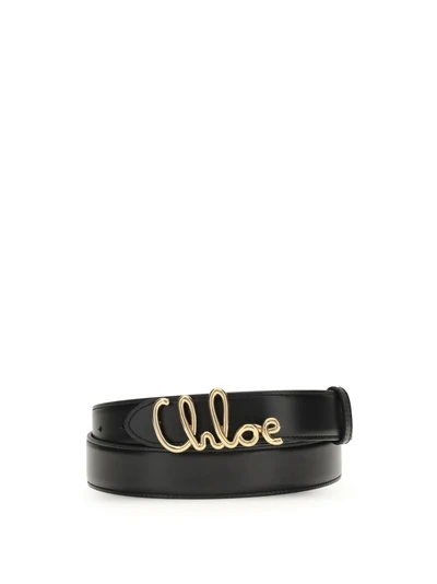 iconic belt