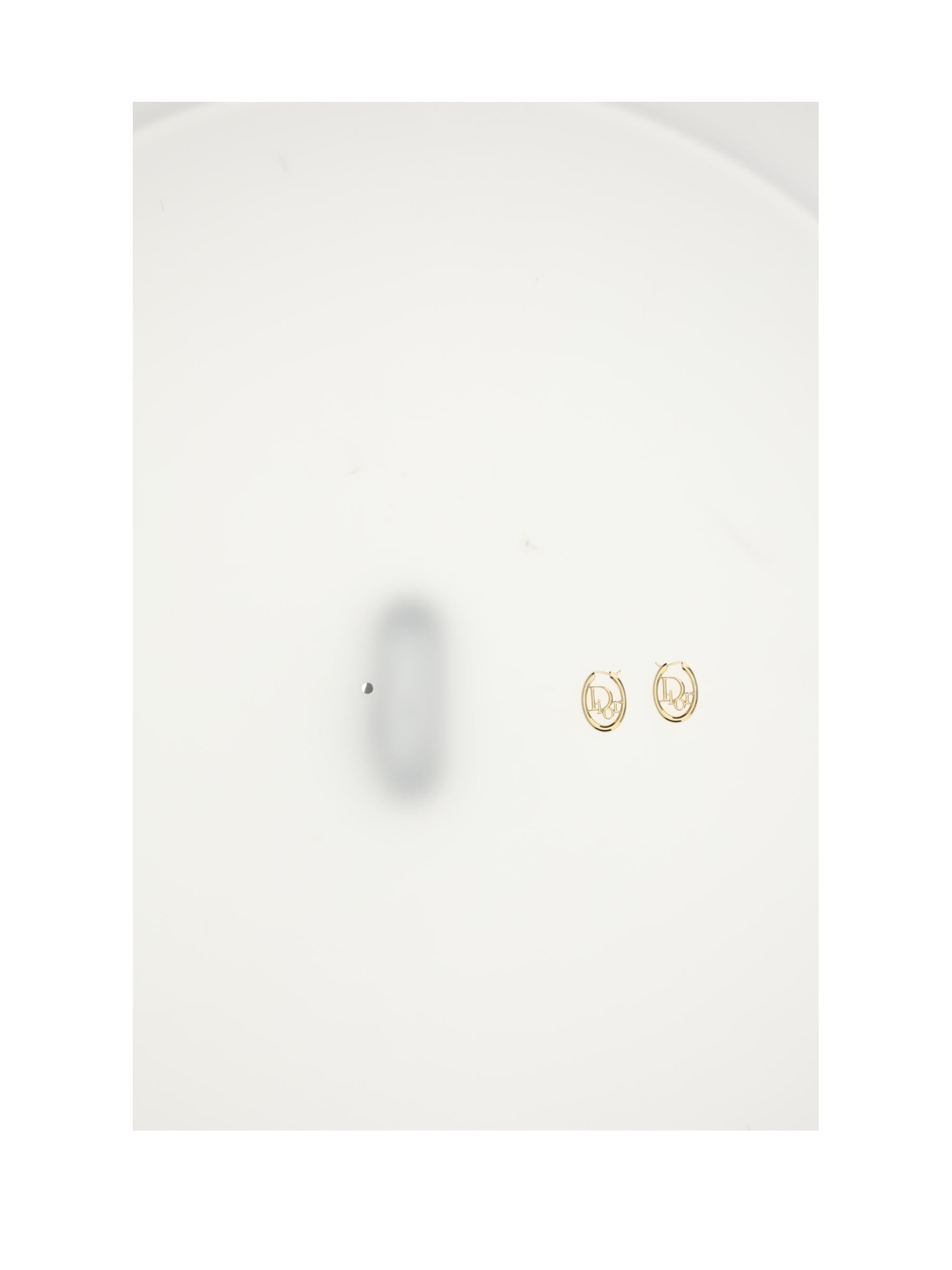 DIOR OS dior oblique hoop earrings