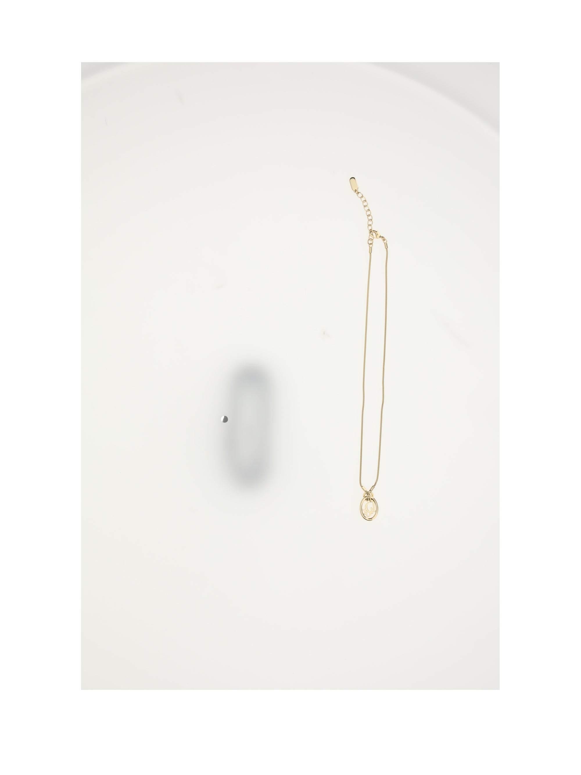 DIOR OS dior oblique neacklace