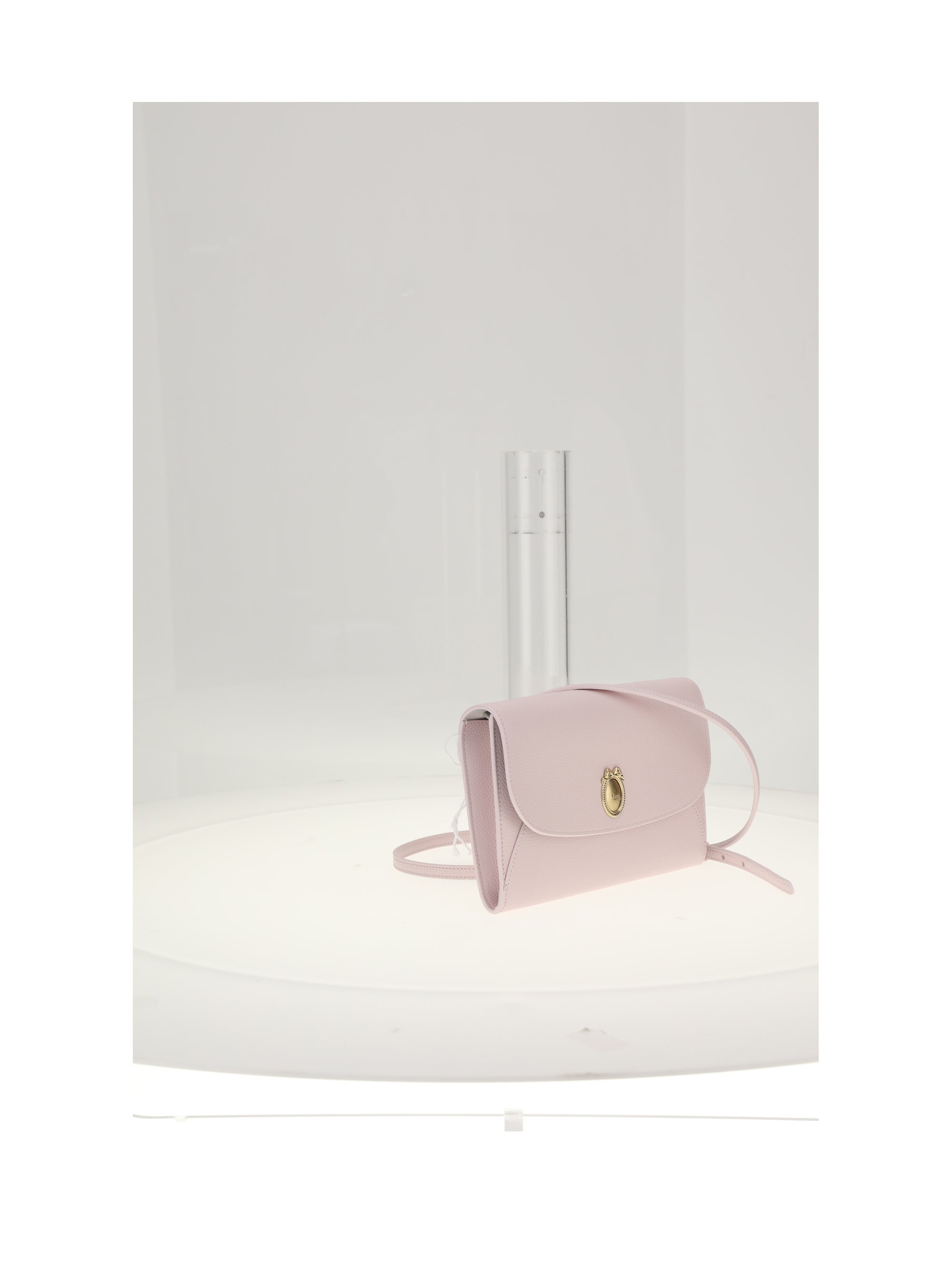 DIOR OS dior medallion bag