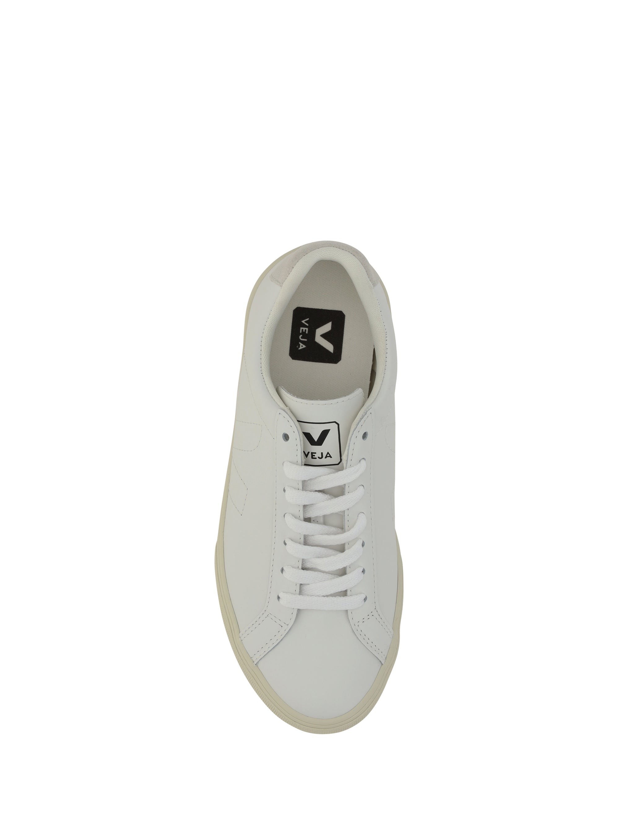 esplar sneakers