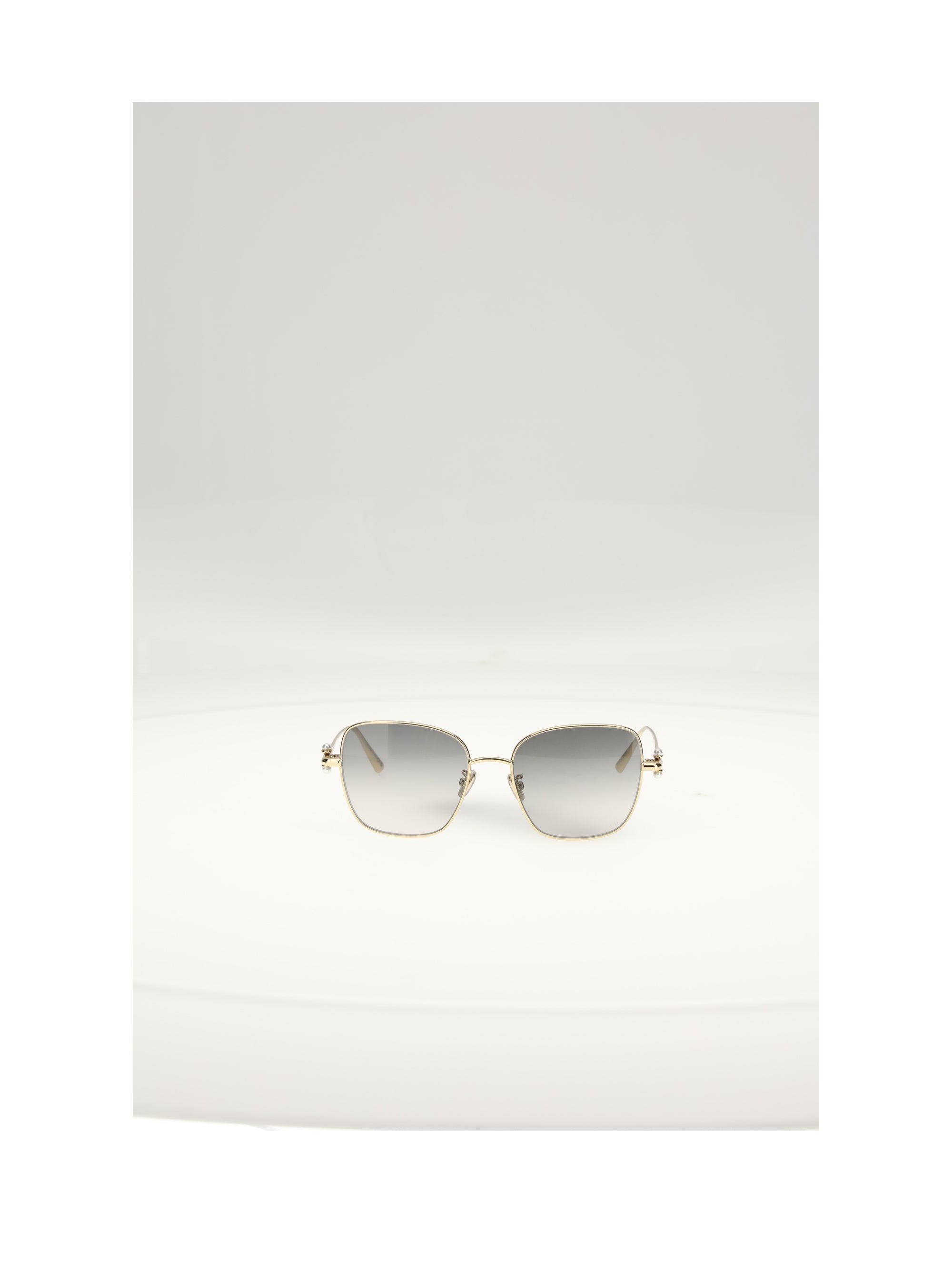 DIOR OS diortribales s1upr sunglasses