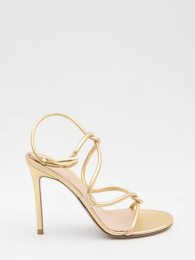 jungle mamba sandals