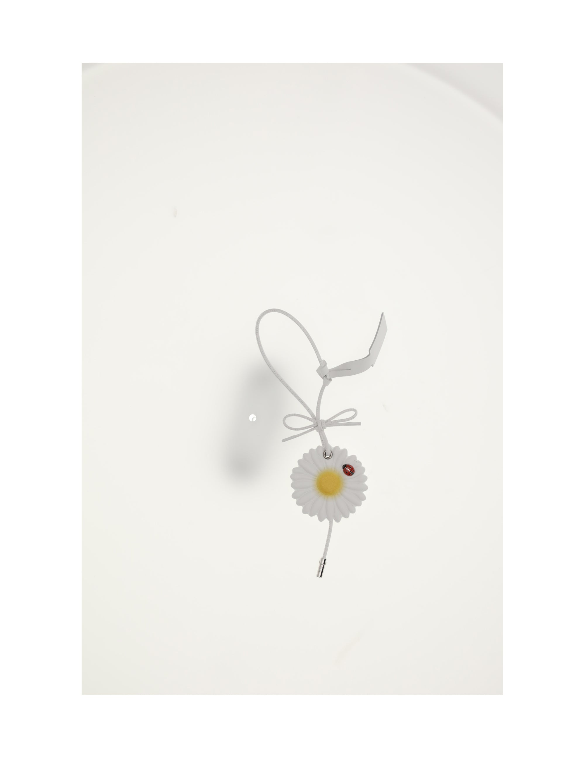 DIOR OS bag charms