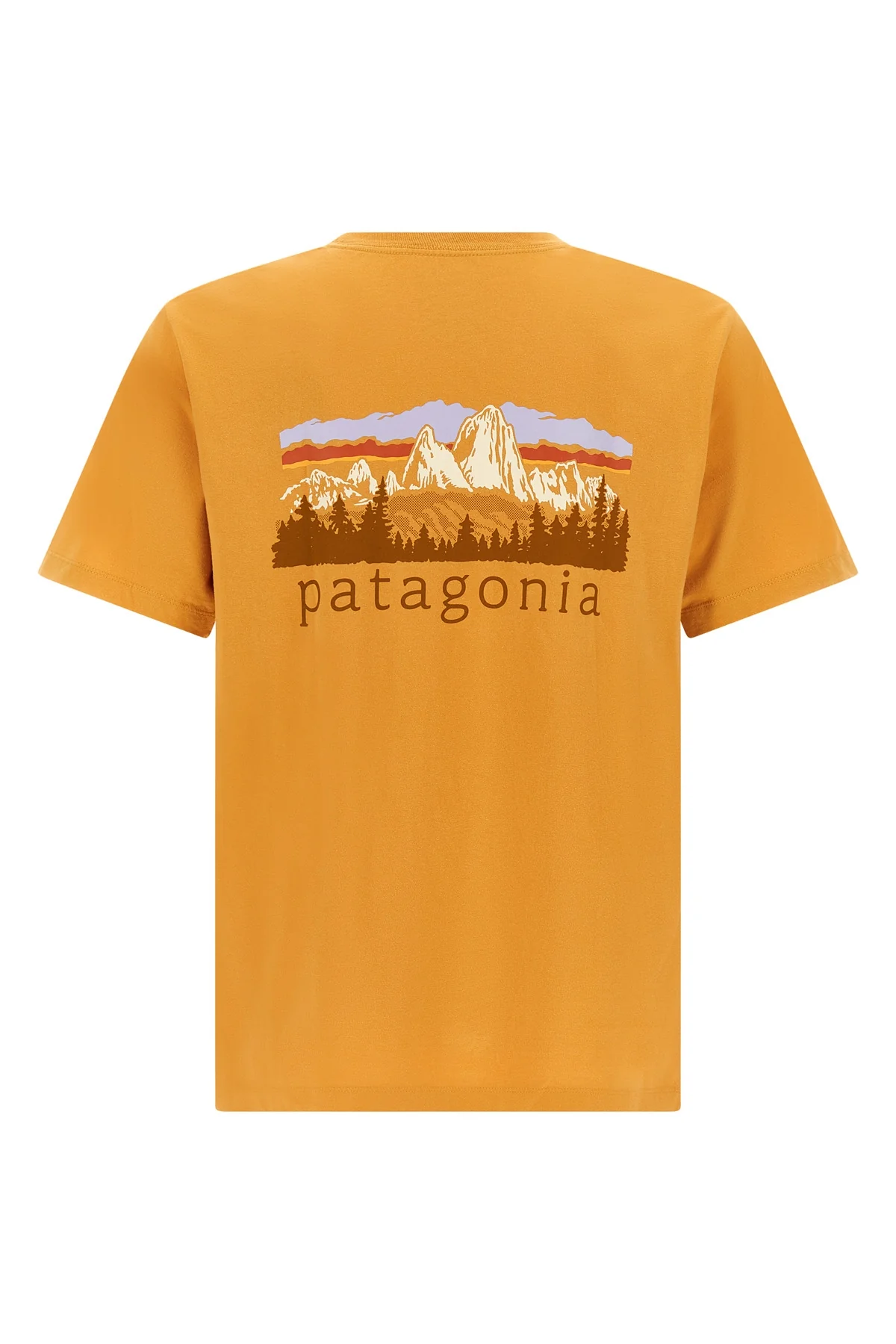 PATAGONIA L the patagonia fitz roy foothills t-shirt