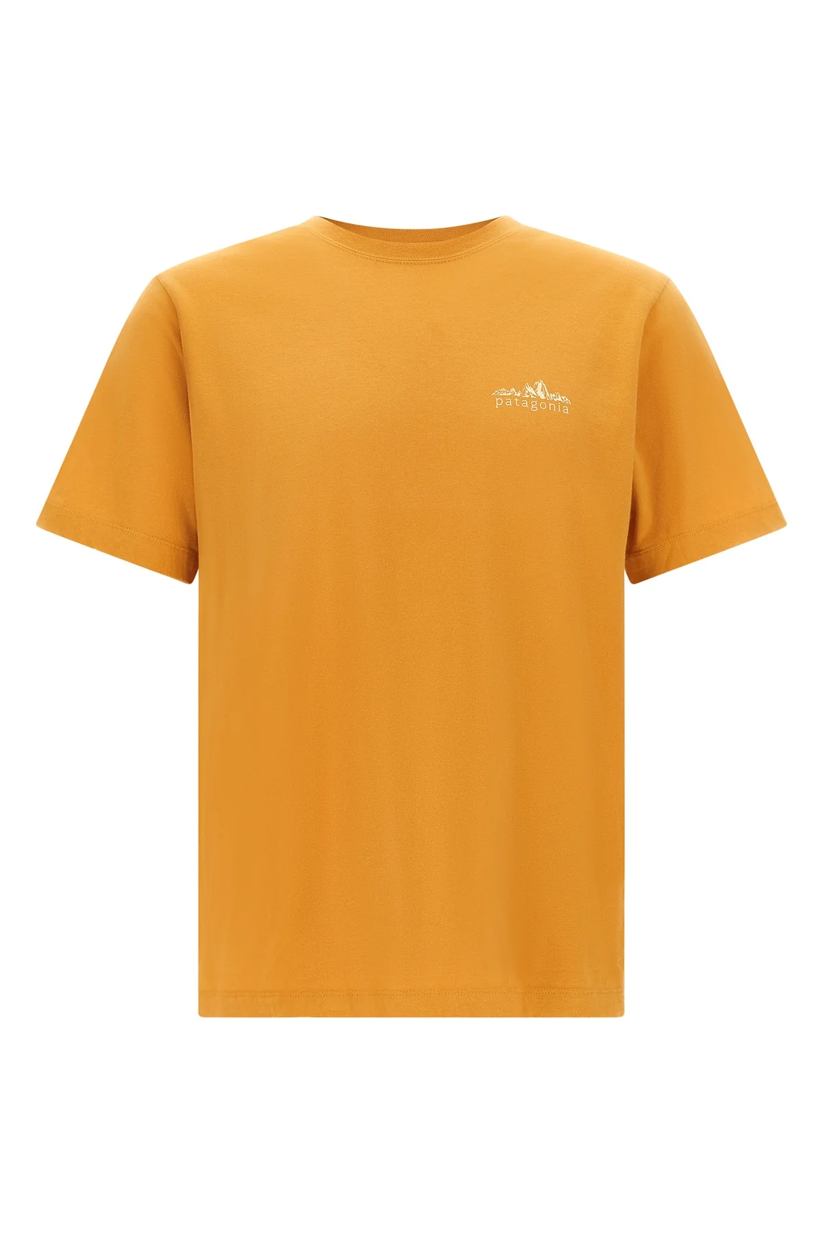 PATAGONIA L the patagonia fitz roy foothills t-shirt