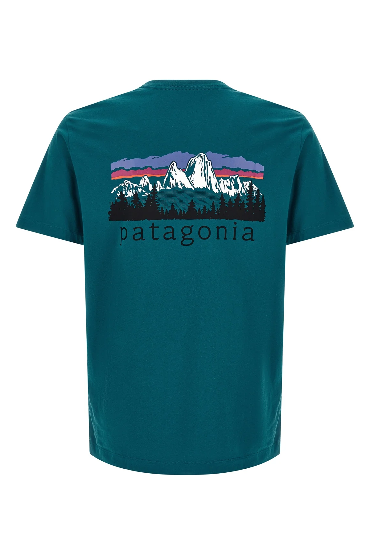 PATAGONIA L the patagonia fitz roy foothills pure cotton t-shirt