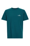 the patagonia fitz roy foothills pure cotton t-shirt