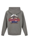 the patagonia hoodie
