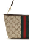 small pouch with strap and web