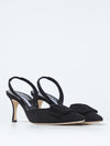 woman's pump