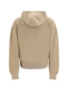 neem hooded sweatshirt in sea island cotton and cashmere
