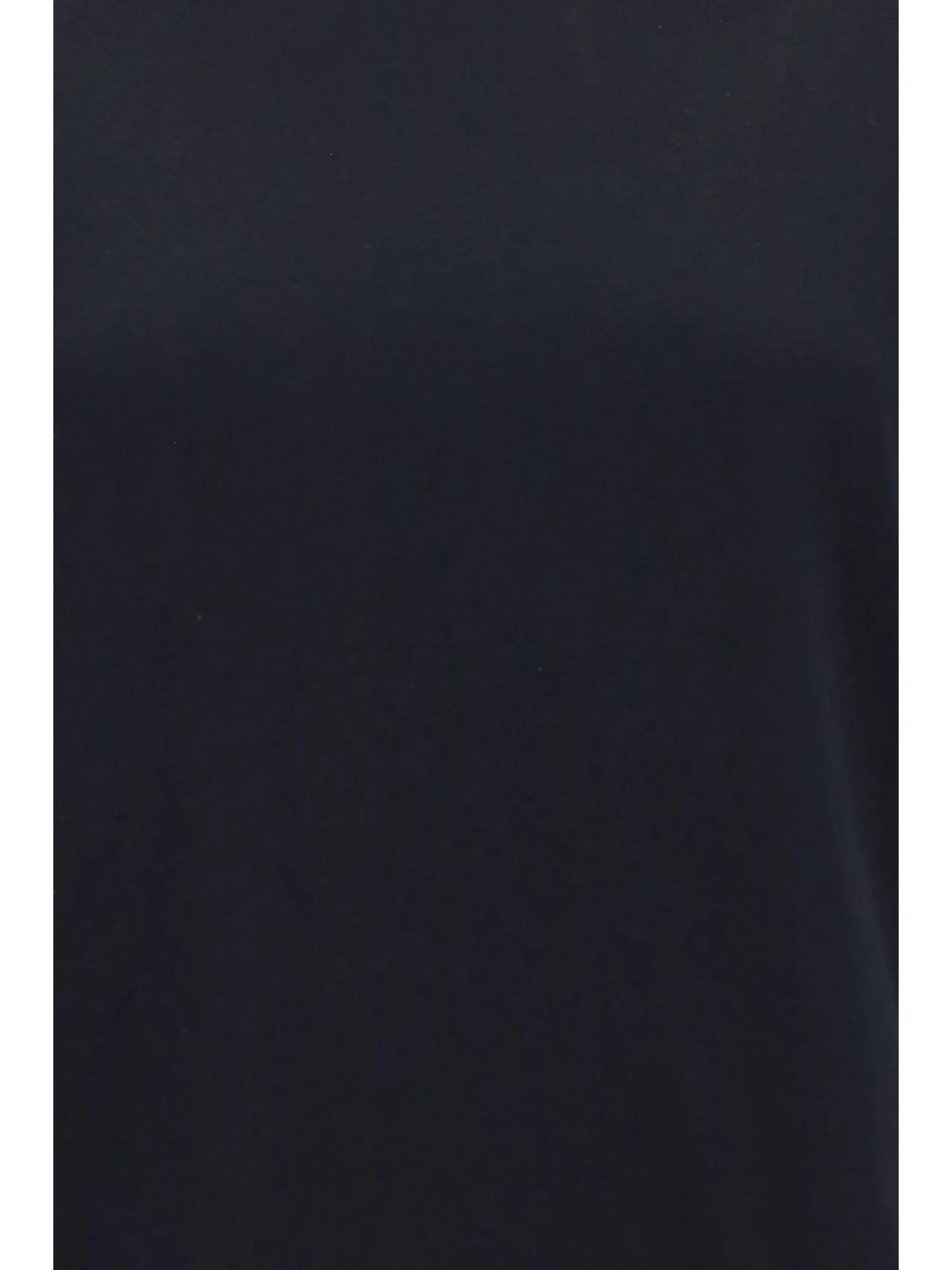 classic monochrome t-shirt