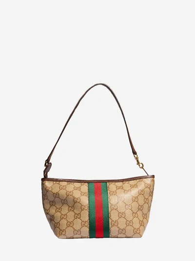 pouch with strap and web