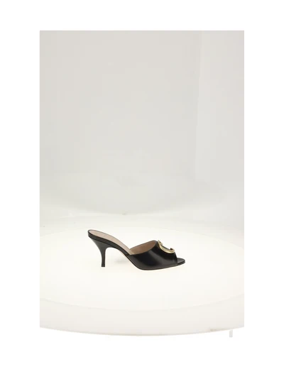 sandal shoes