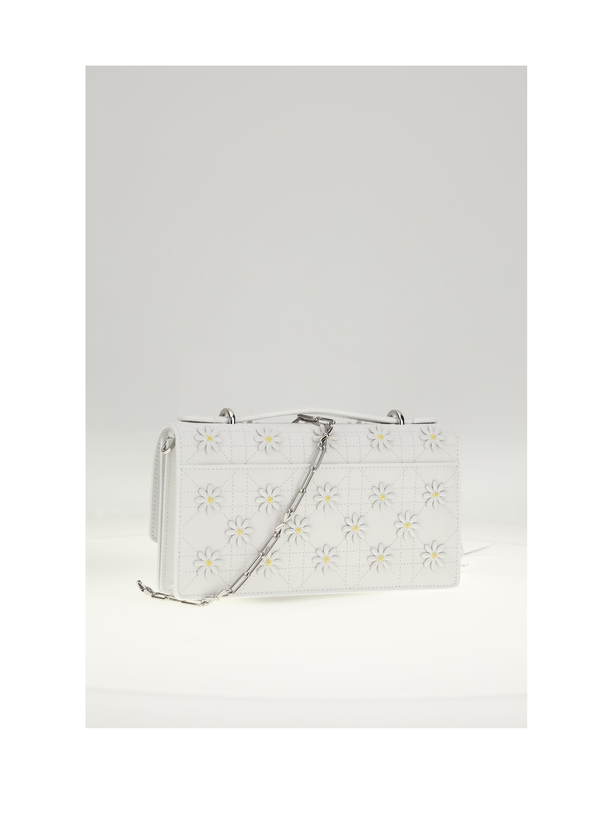 DIOR OS pouch