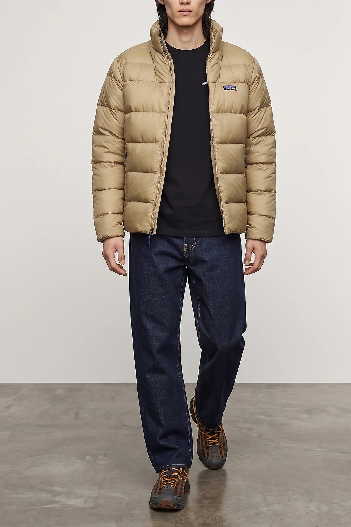 PATAGONIA L the patagonia down jacket