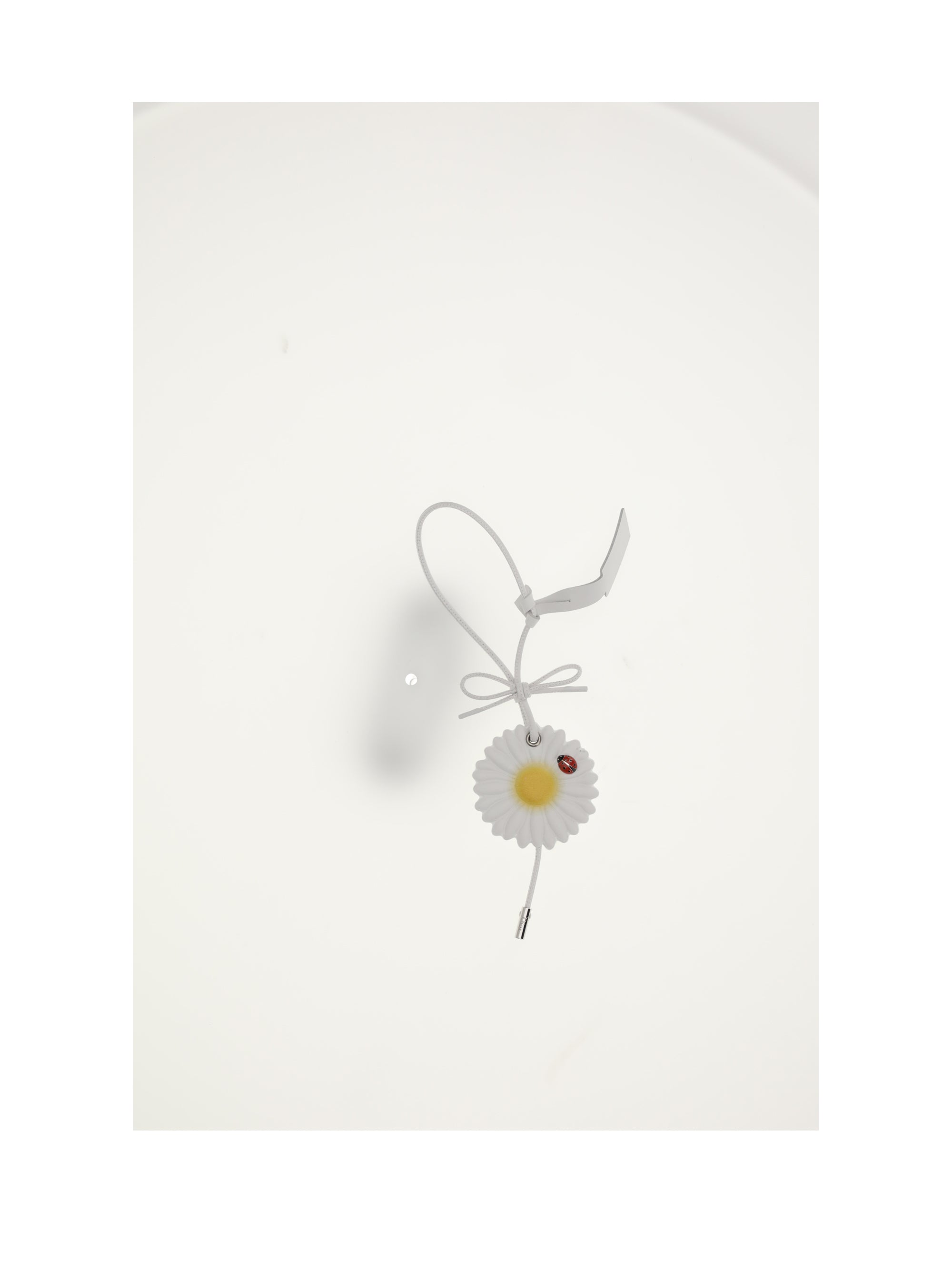 DIOR OS bag charms