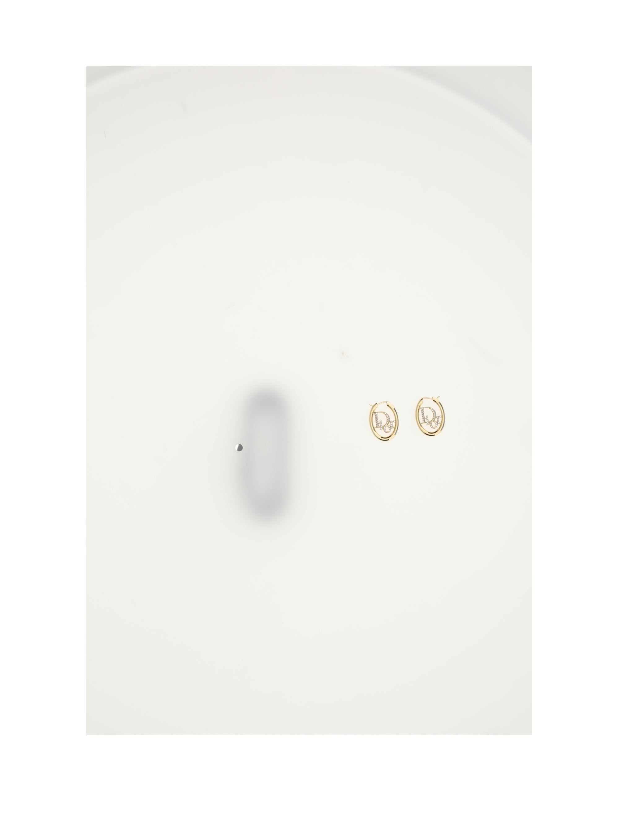 DIOR OS dior oblique earrings