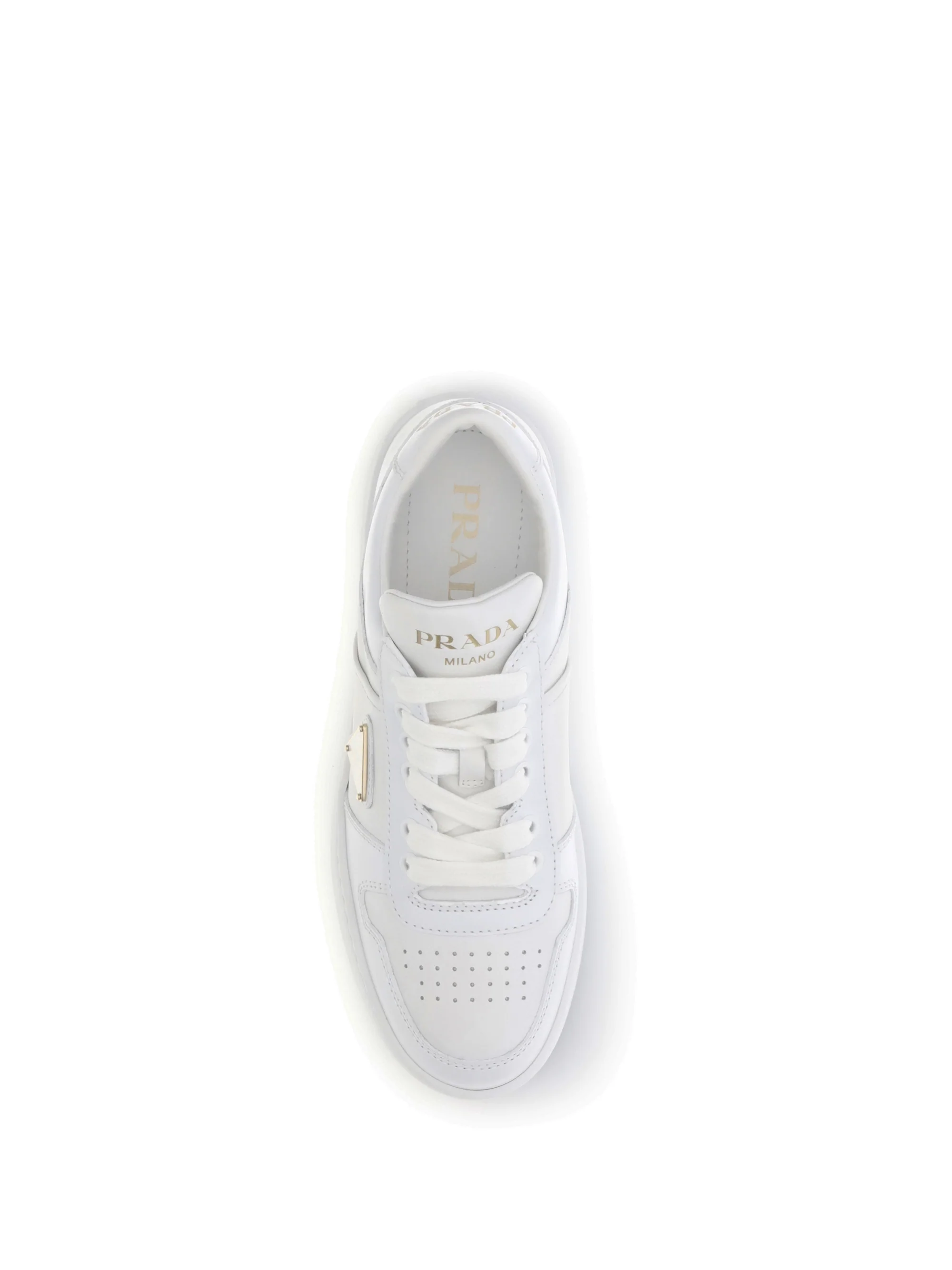 downtown bold sneakers