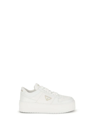 downtown bold sneakers