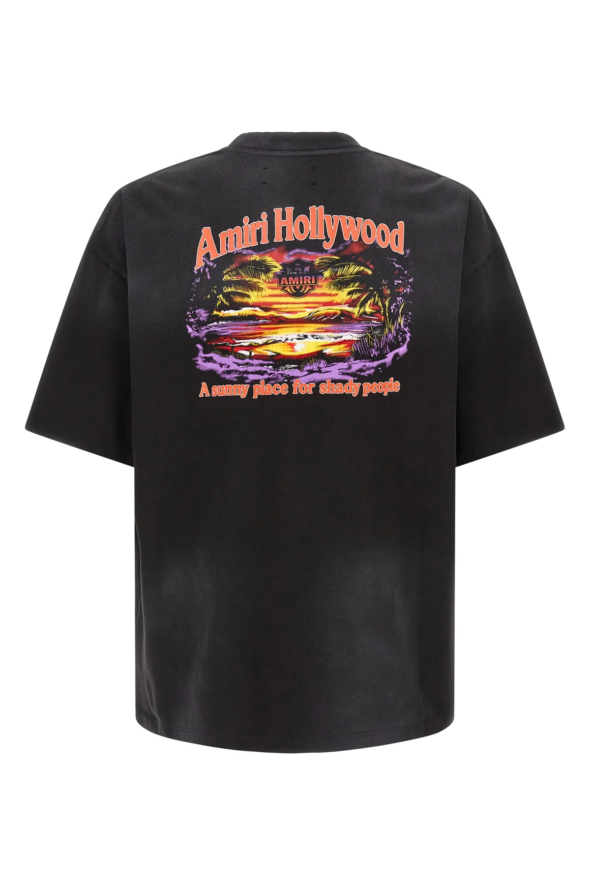 AMIRI L the t-shirt amiri sunny place skate