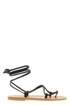 the sandals k