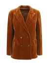 jealousy everynight velvet blazer
