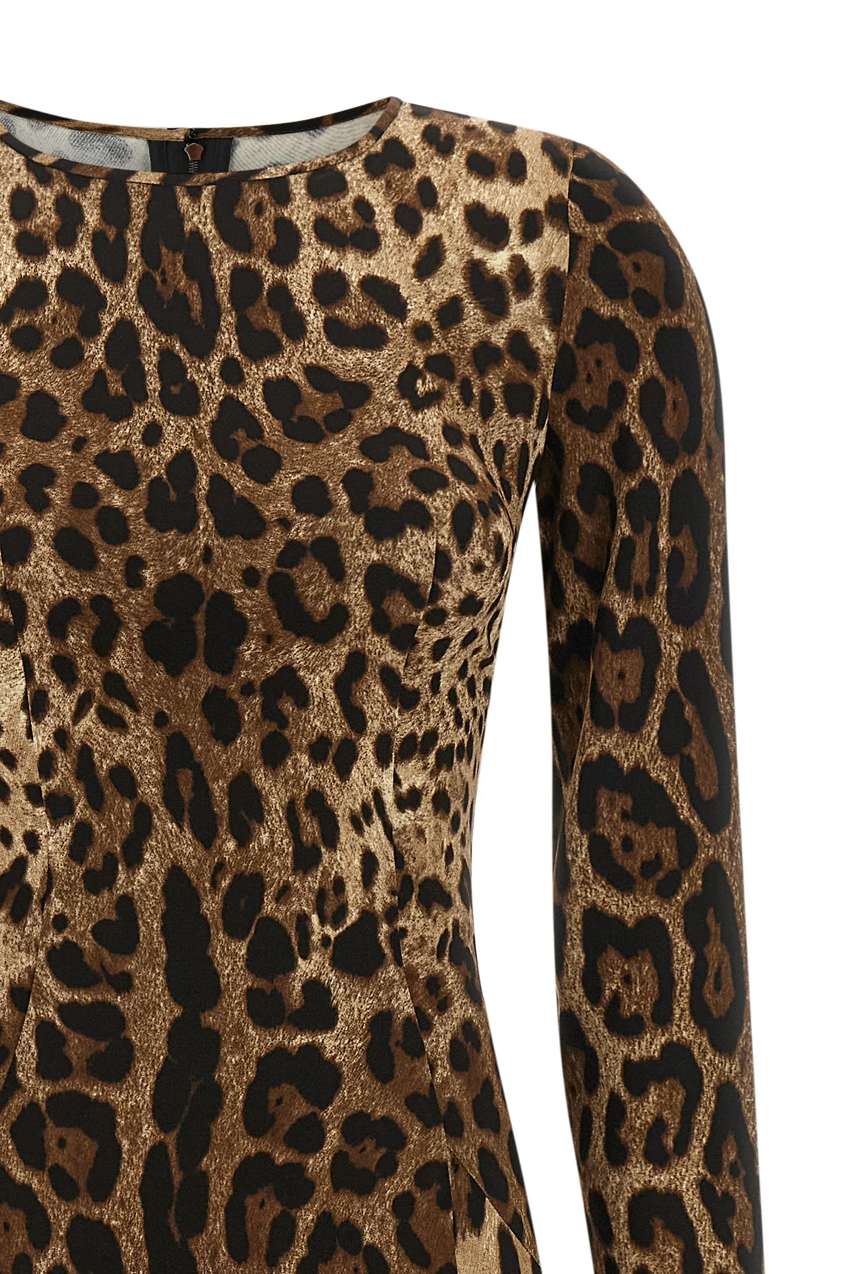 the dolce & gabbana midi dress defines a bold aesthetic through the iconic anima