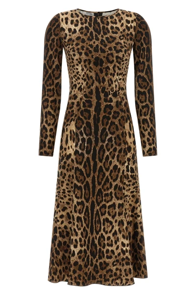 the dolce gabbana midi dress defines a bold aesthetic through the iconic anima