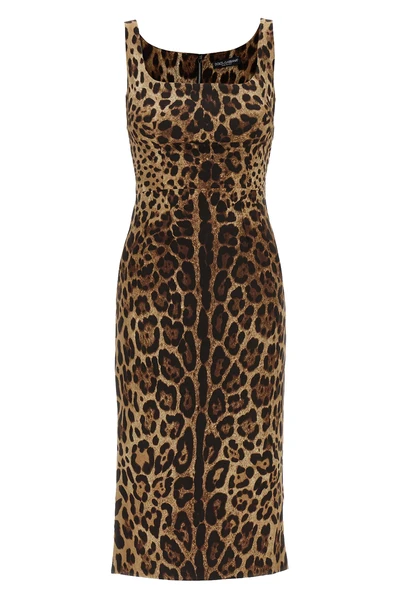 the dolce gabbana midi dress in stretch silk charmeuse defines the silhouette