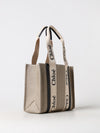 woman's shoulder bag chloé