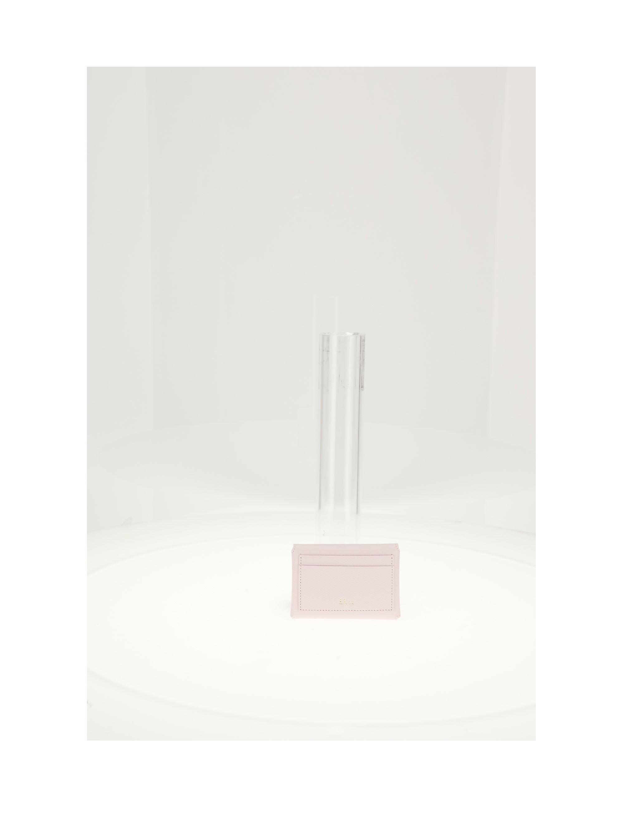 DIOR OS dior medalljon card holder