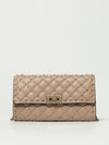 woman's mini bag