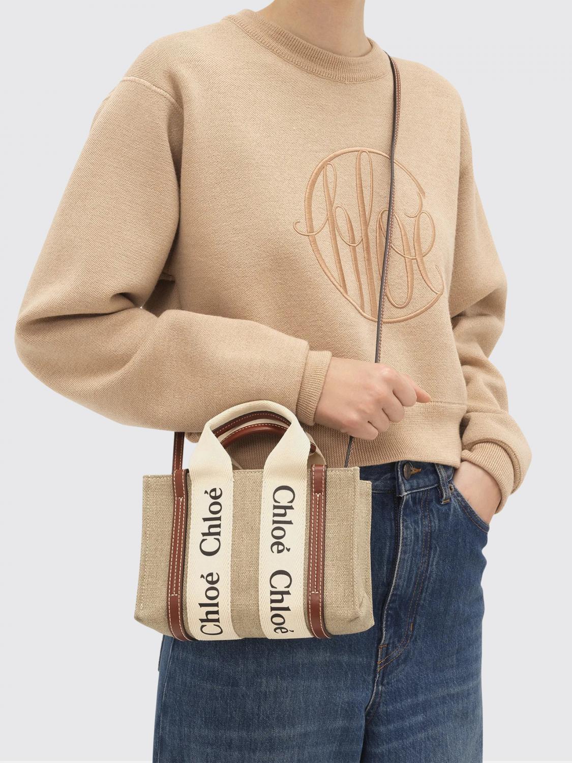 woman's mini bag chloé