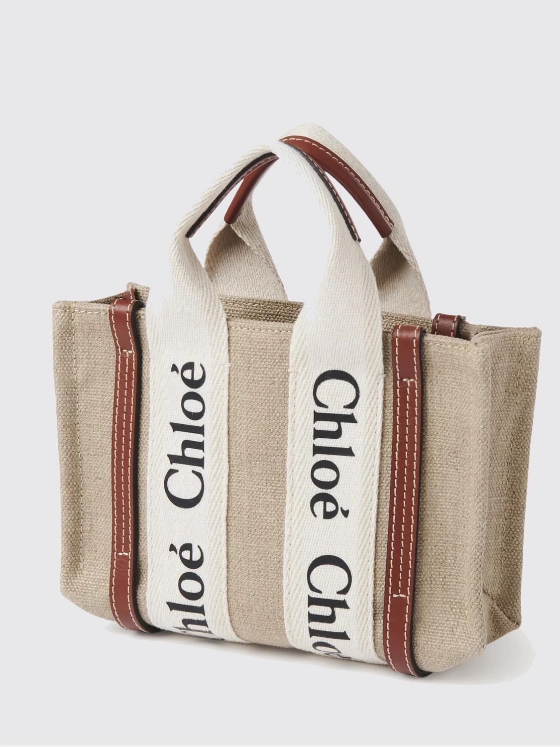 woman's mini bag chloé