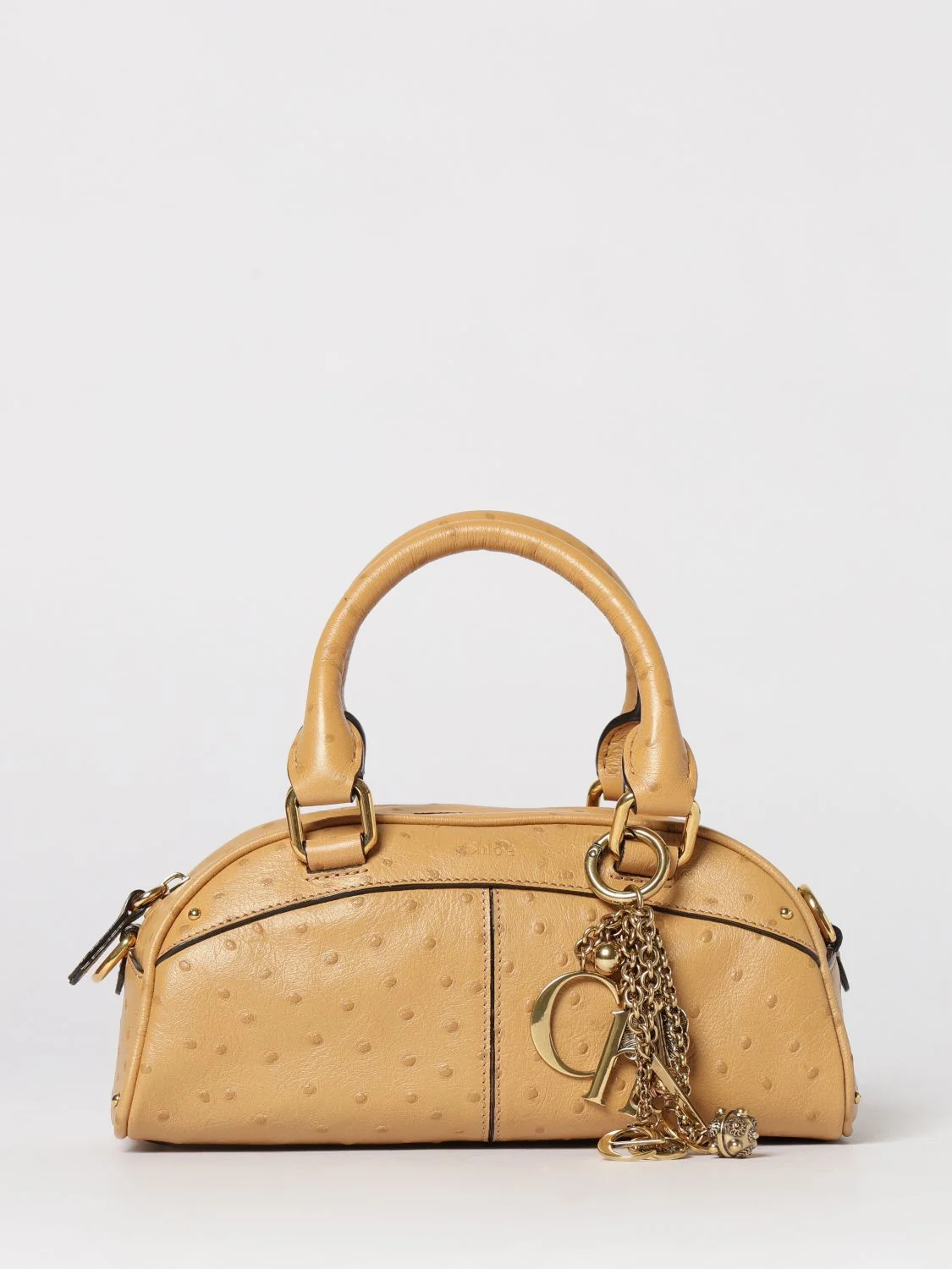 woman's handbag chloé