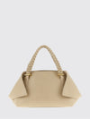 woman's handbag