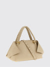 woman's handbag