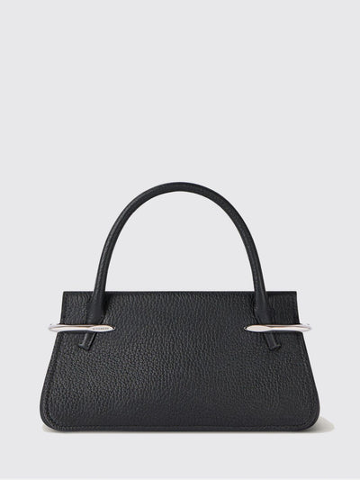 womans tote bag