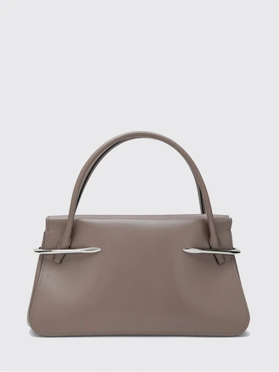 womans tote bag