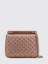woman's mini bag