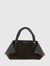 woman's handbag