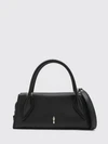 woman's handbag