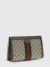 woman's crossbody bag