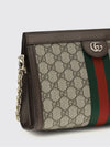 woman's crossbody bag