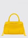 woman's mini bag
