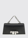 woman's handbag