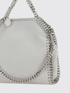woman's mini bag