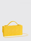 woman's mini bag